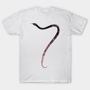 7 - Sonoran coachwhip snake T-Shirt